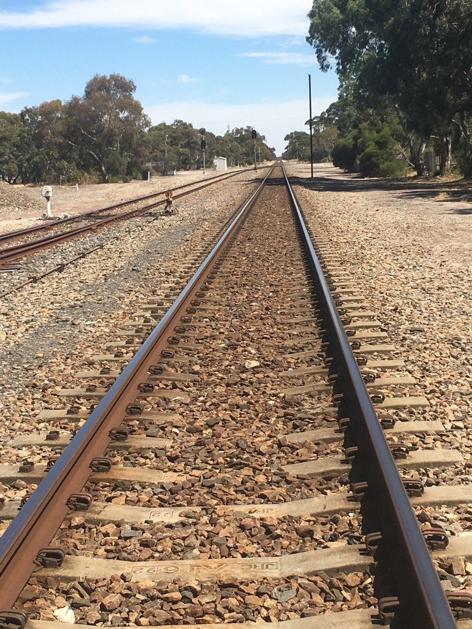 Australien - Tanunda - Bald sind wir auf Schienen unterwegs