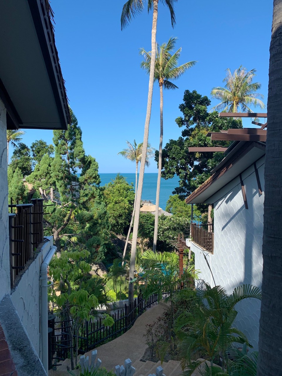 Thailand - Amphoe Ko Pha-ngan - 