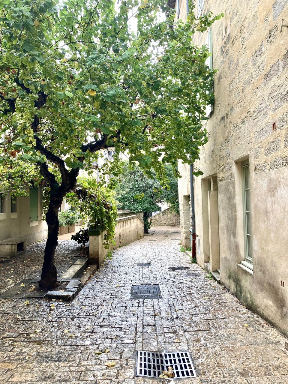 Frankreich - Uzès - heller, sauberer Stein in allen Gassen der Stadt