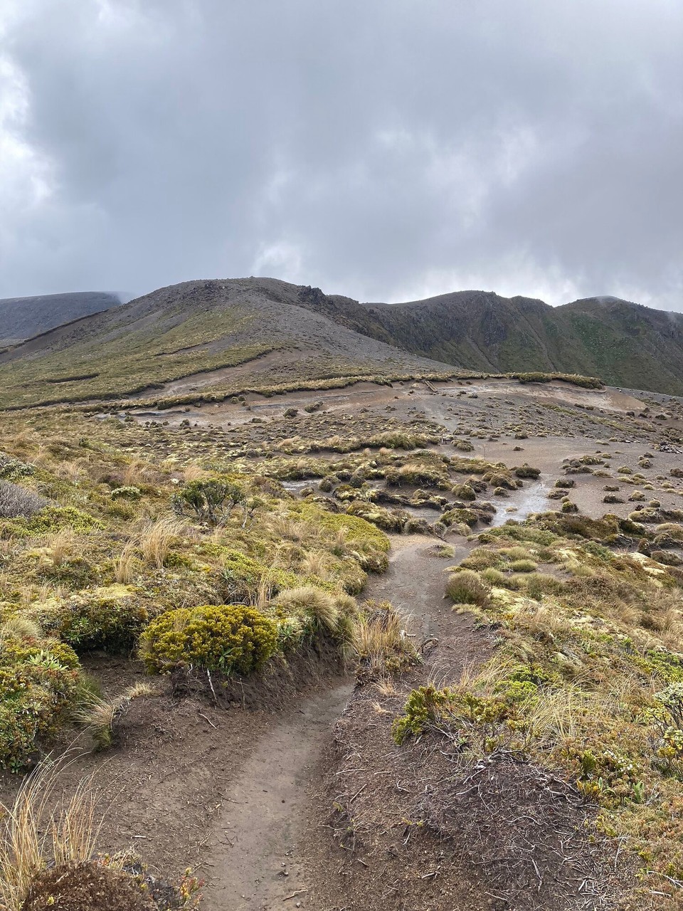 Neuseeland - Tongariro National Park - 