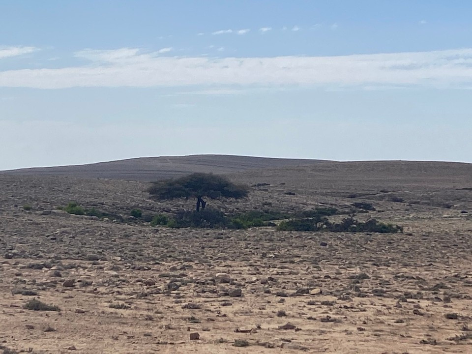Oman -  - Einsamkeit