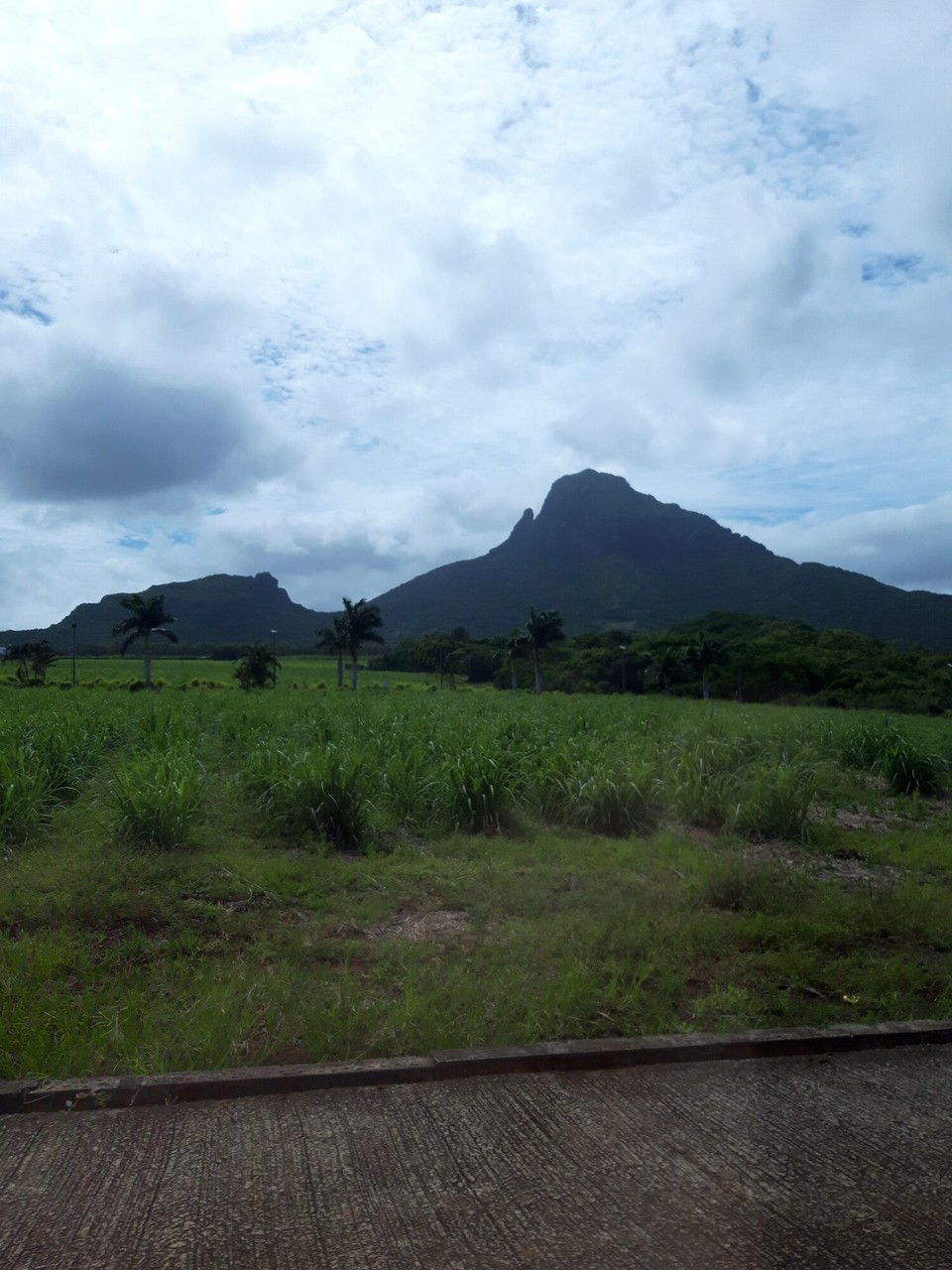 Mauritius - Port Louis - Ennerwee am Land