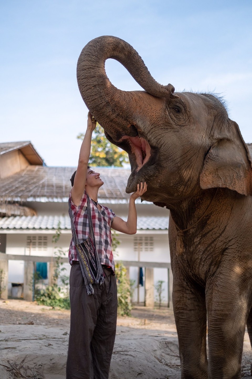 Thailand - Chiang Mai - 