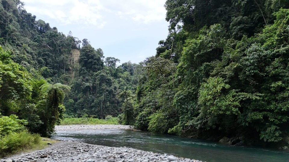 Indonesien - Kabupaten Langkat - 
