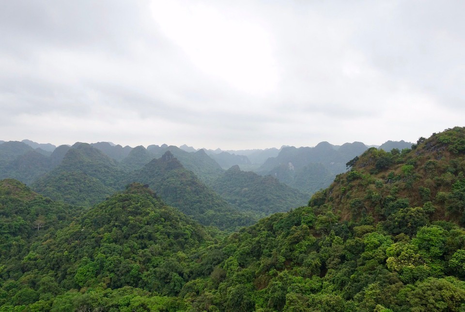 Vietnam - Cát Bà Island - Utsikten fra toppen