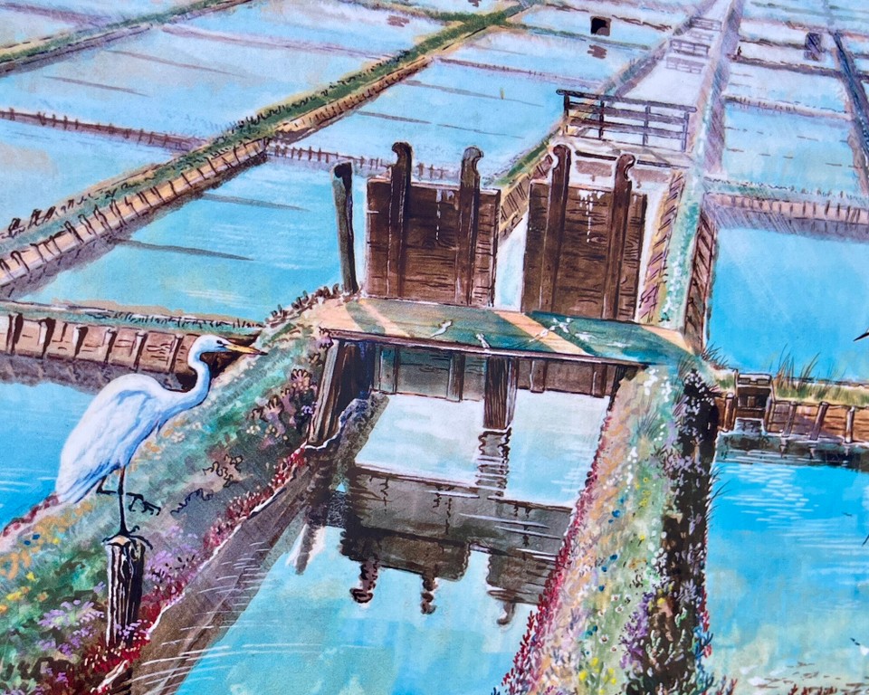 Österreich - Golling an der Salzach - 