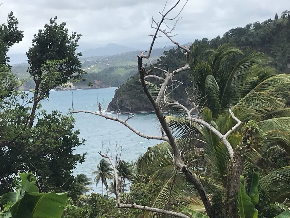 Dominica -  - 