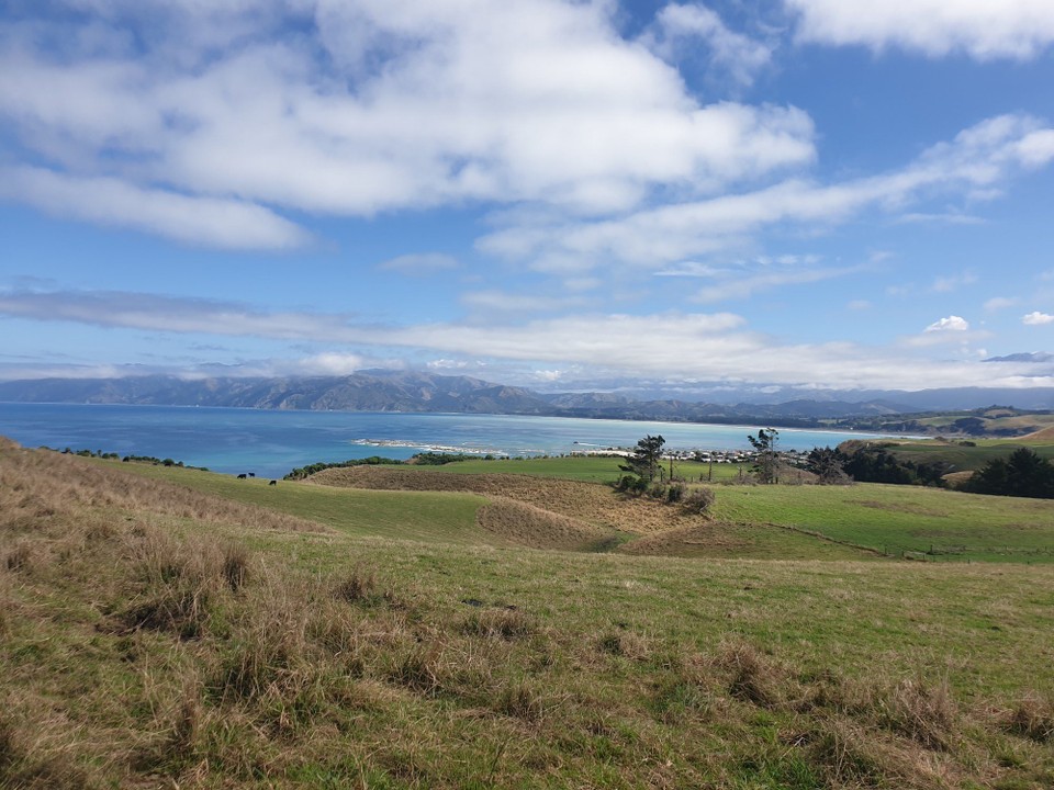 Neuseeland - Kaikoura - 