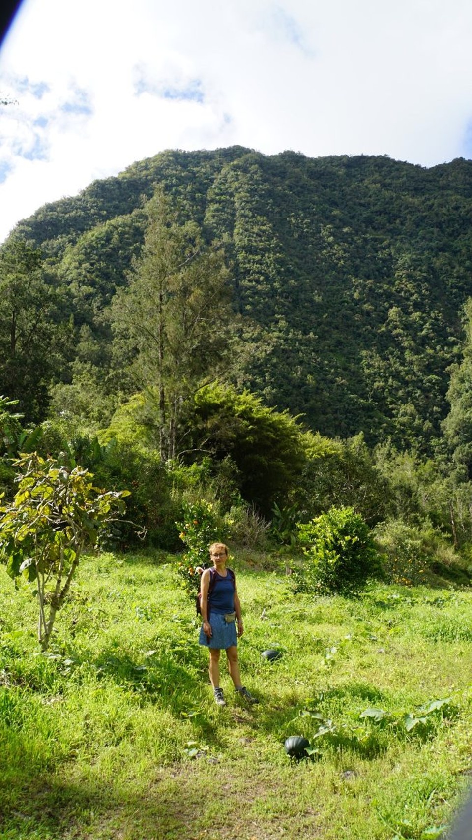 Réunion - Salazie - 