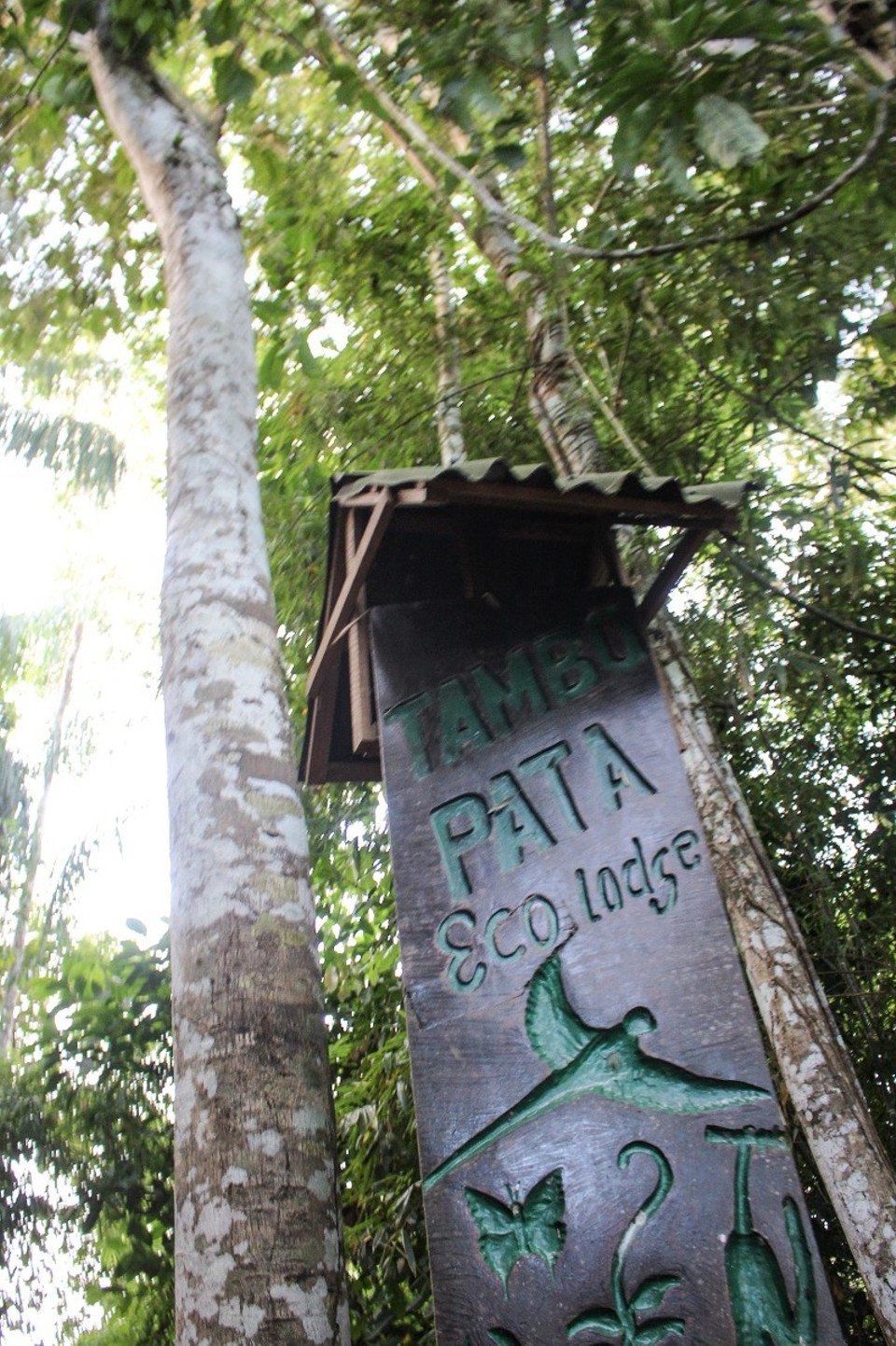 Peru - Puerto Maldonado - angekommen in der Lodge für die letzten zwei Nächte der Reise