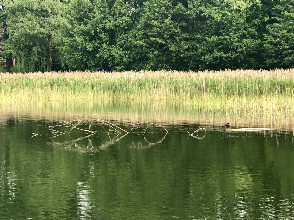 Deutschland - Bad Saarow - 