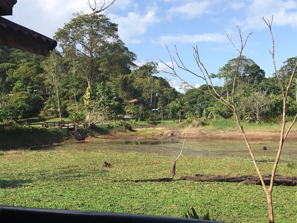 Costa Rica - San Carlos - 