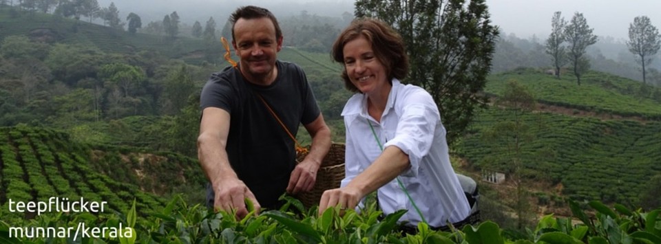 Indien - Munnar - 