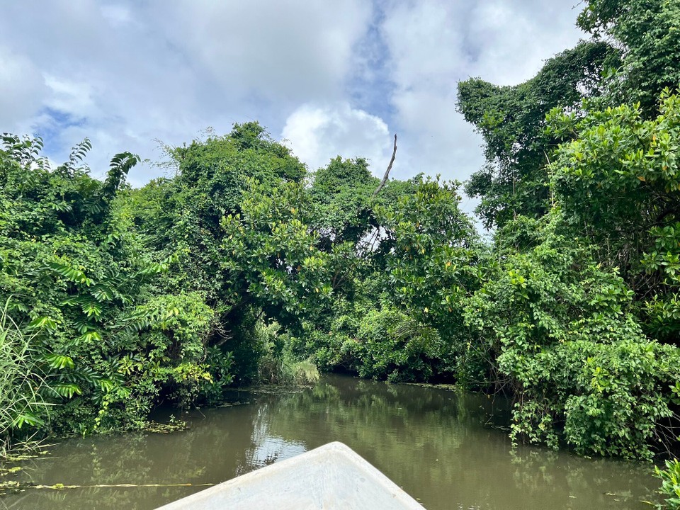 Sri Lanka -  - 