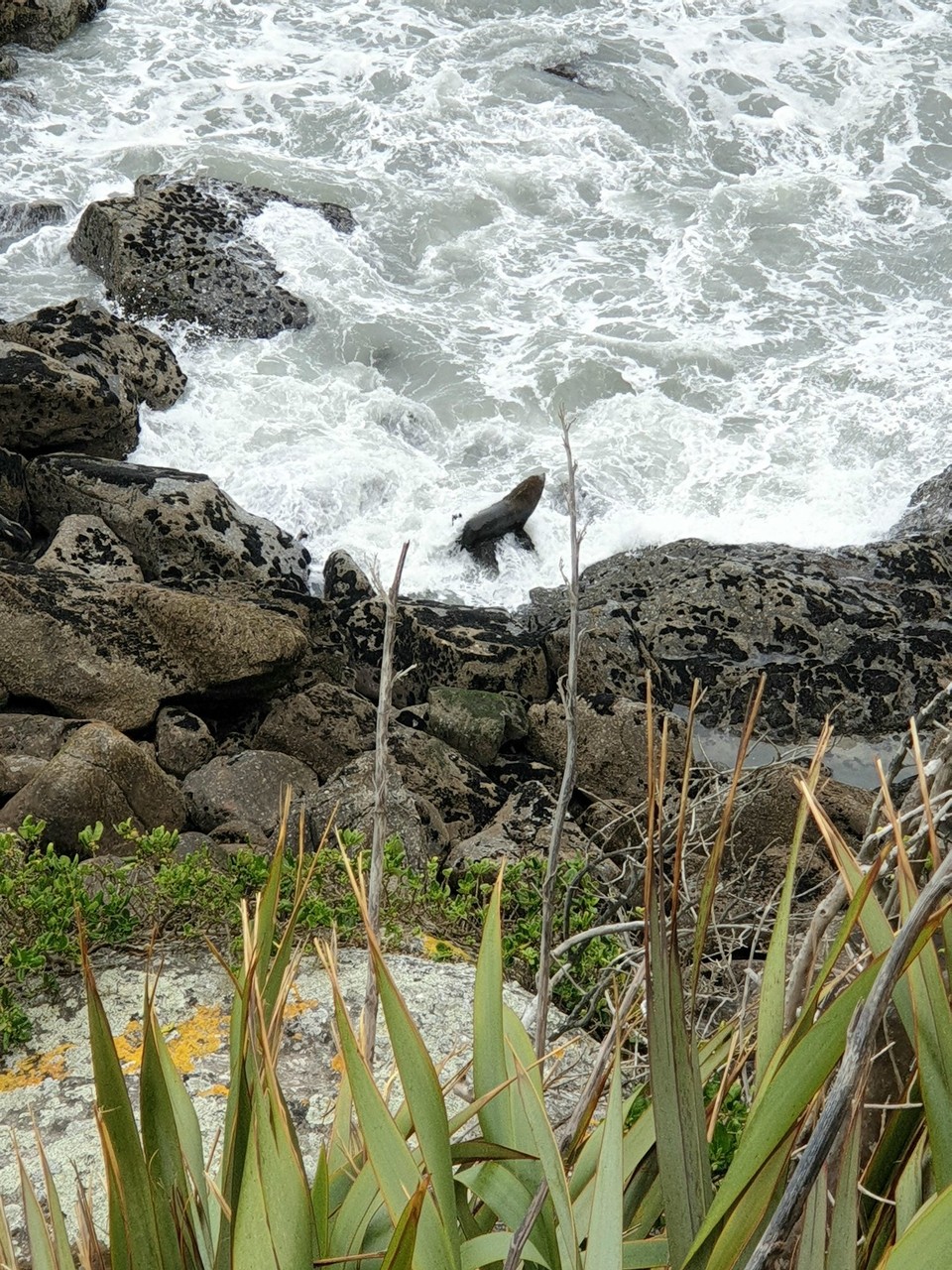 Neuseeland - Pancake Rocks - 