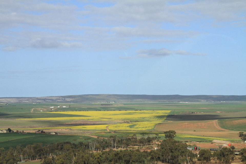 Südafrika - Oudtshoorn - Landschaften wechseln!