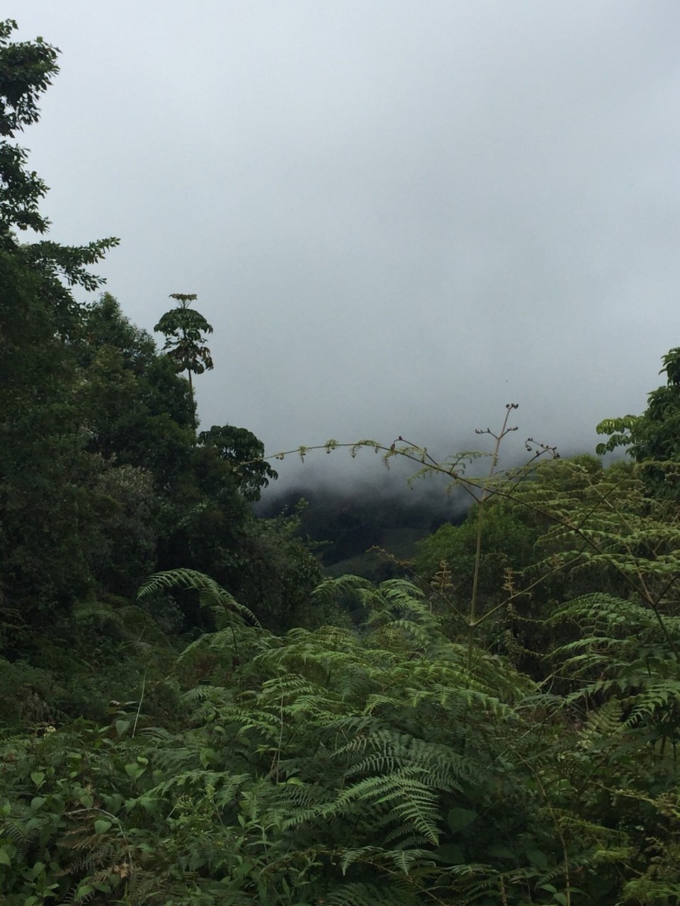 Costa Rica - San José - 