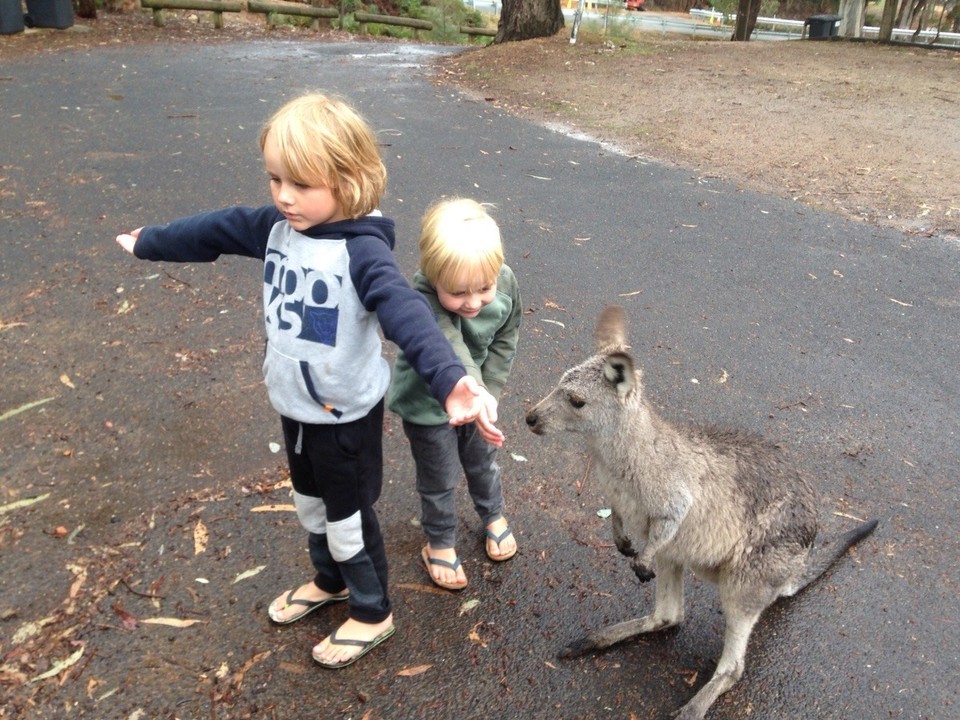 Australia - Burrinjuck - 