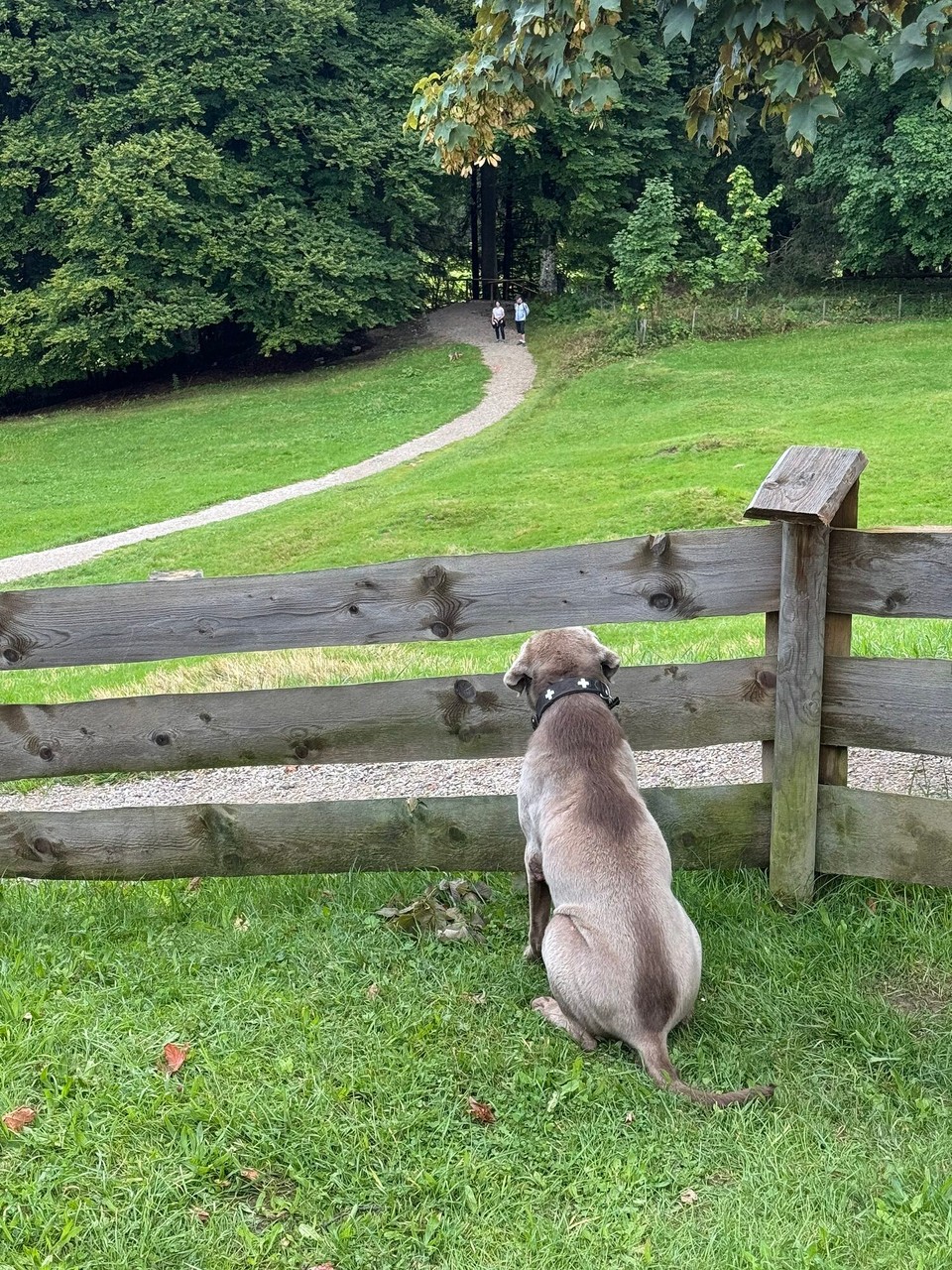 Deutschland - Krün - 