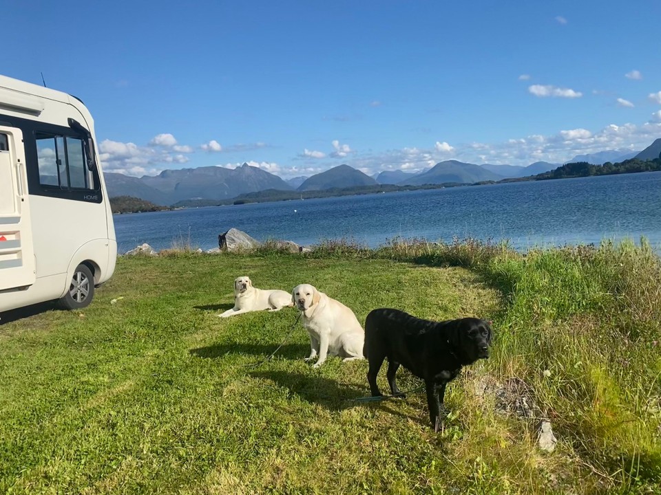 Norwegen - Gurskøy - Ankunft - Bett geparkt - Sonne genießen. 