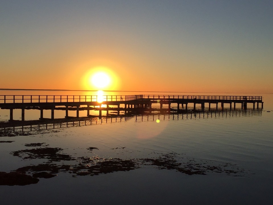  - Australia, Hamelin Pool - 