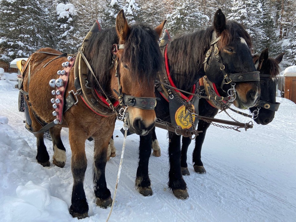 Schweiz - Pontresina - 