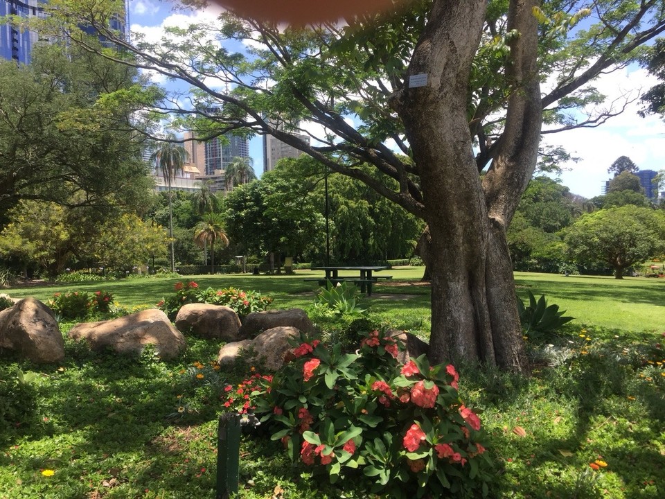 Australien - Brisbane - Roman Street Parkland