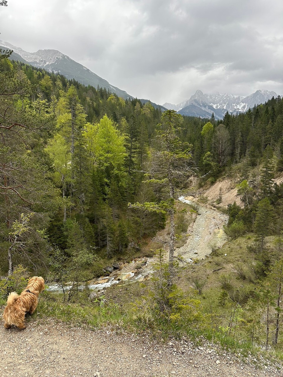 Österreich - Scharnitz - 