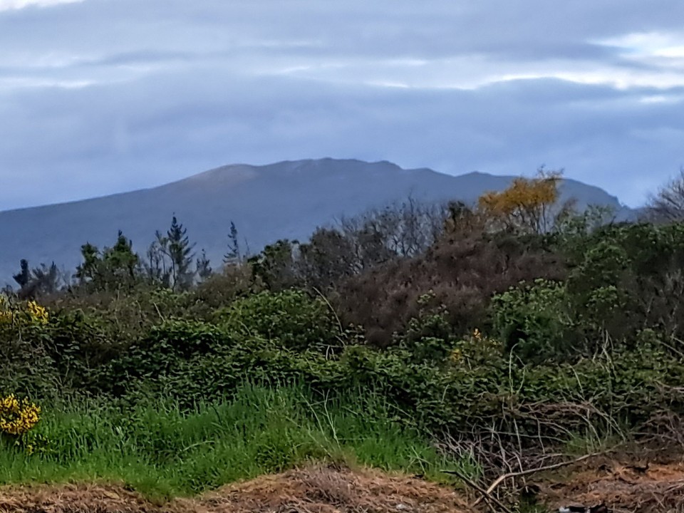 Neuseeland - Tongariro - Noch sind die Berge in der Ferne 