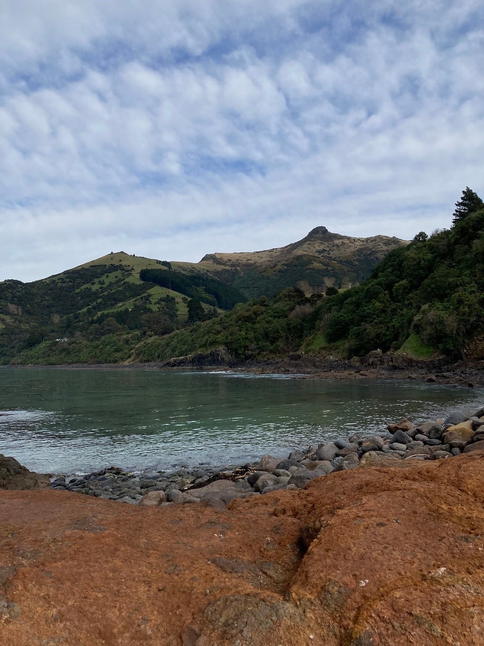 Neuseeland - French Farm - 