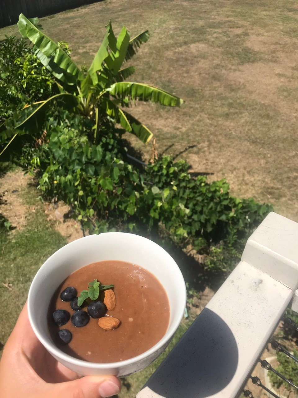 Australien - Grange - Nicecream statt Icecream. Die Bananen dafür gabs vom Bananenbaum
im Hintergrund! 