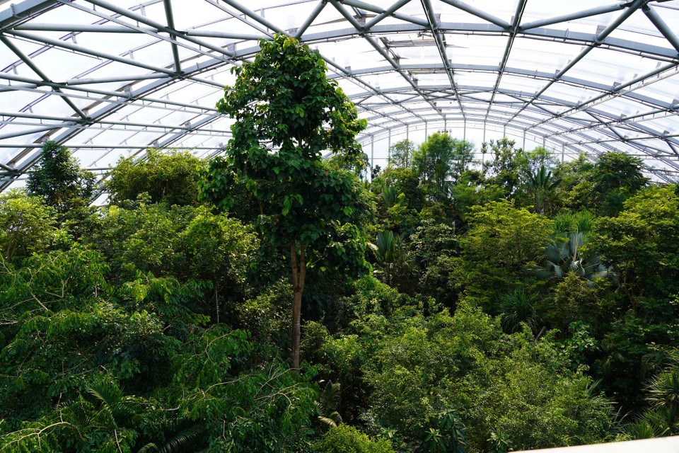 Madagaskar - unbekannt - 