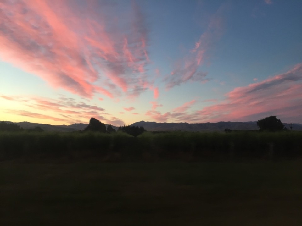 Neuseeland - Blenheim - 