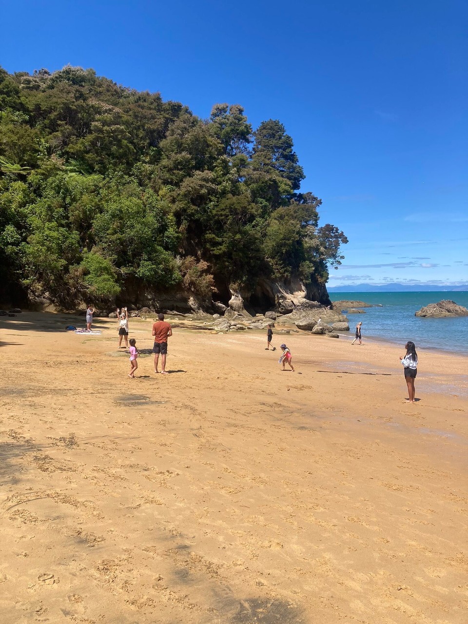 Neuseeland - Motueka Ward - 