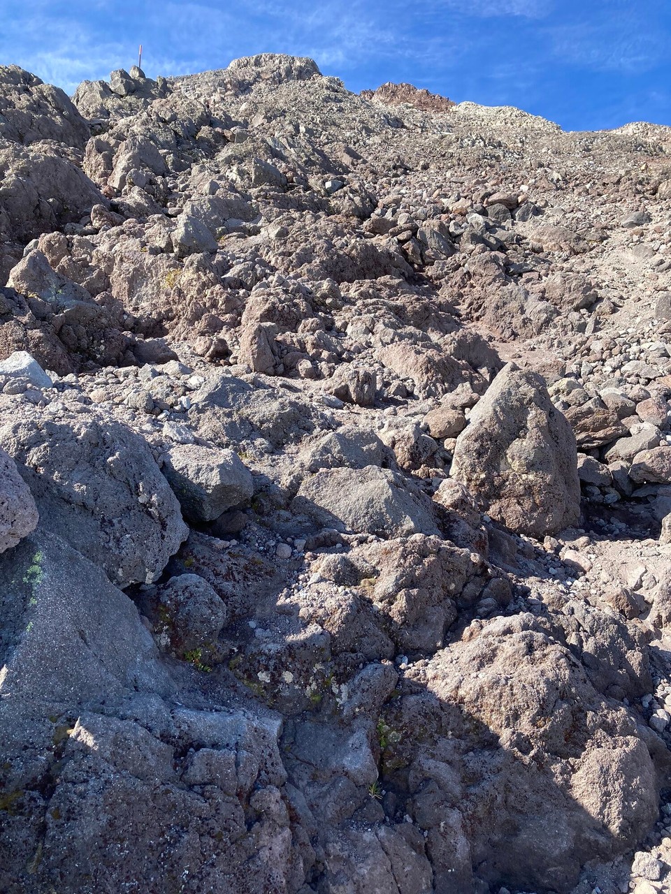 Neuseeland - Egmont National Park - 