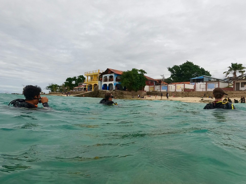 Philippinen - Moalboal - 