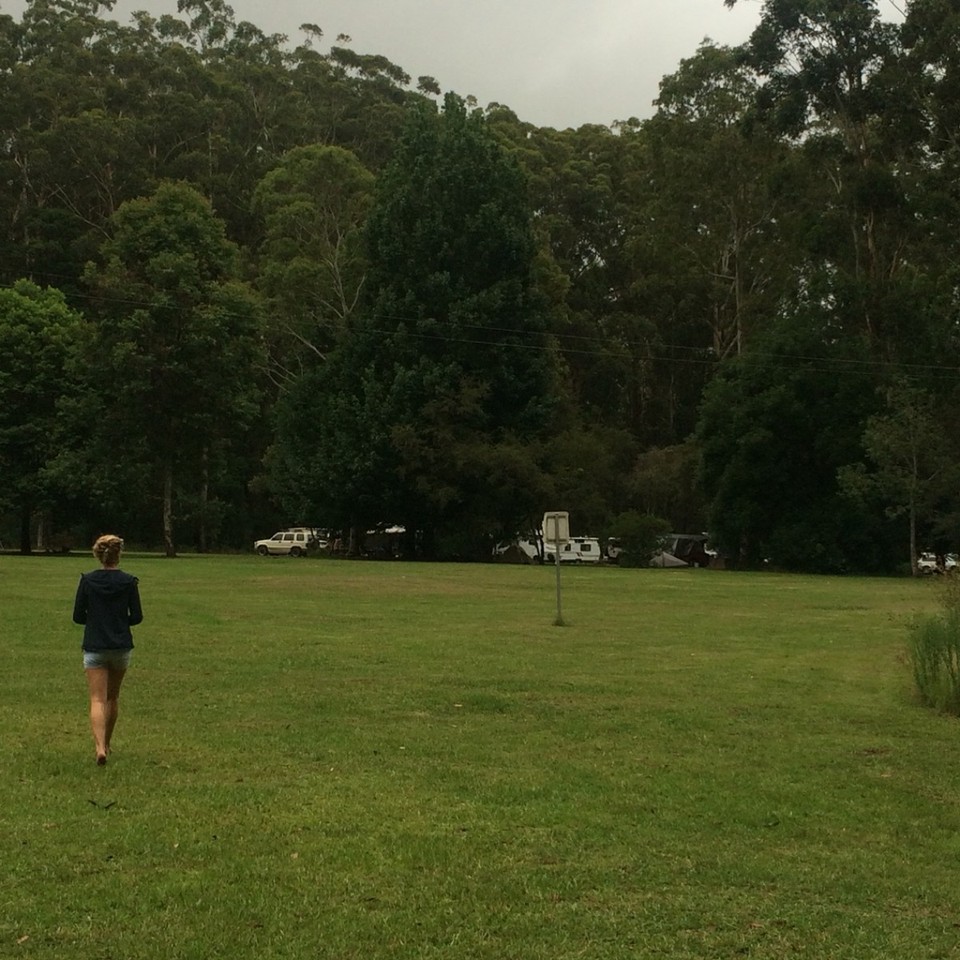 Australien - Coopernook State Forest - 