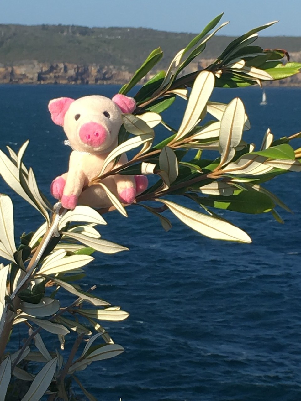 Australien - Bondi Beach - very windy, halte sich wer kann