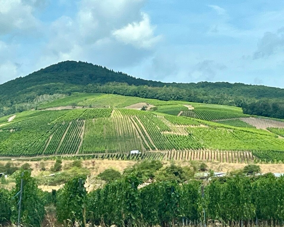Frankreich - Kaysersberg Vignoble - 