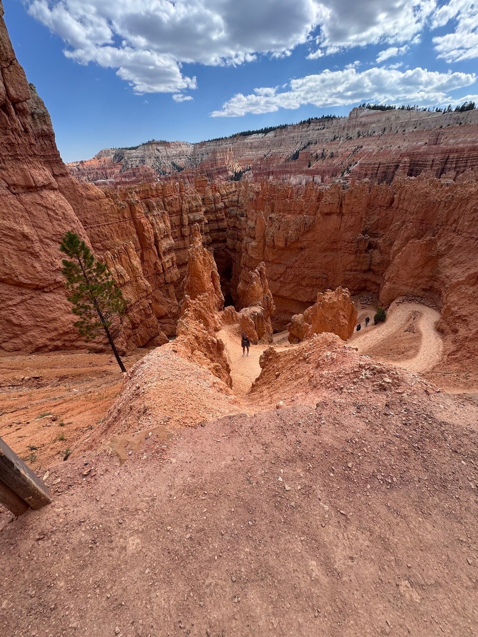 Vereinigte Staaten - Bryce Canyon - Und natürlich esch es alles was mer ih Canyon abe glaufe sind au wieder ufe gange.😂 Das esch denn doch no steil gsi.🙈😂 Aber es esch sehr schön gsi und het sich definitiv glohnt.☺️