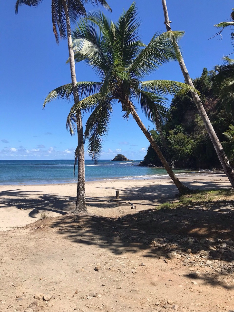 Dominica -  - 