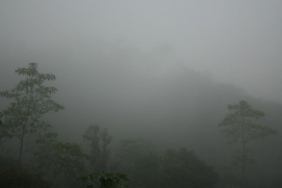 Sri Lanka - Yattapatha - Pelawatta - 