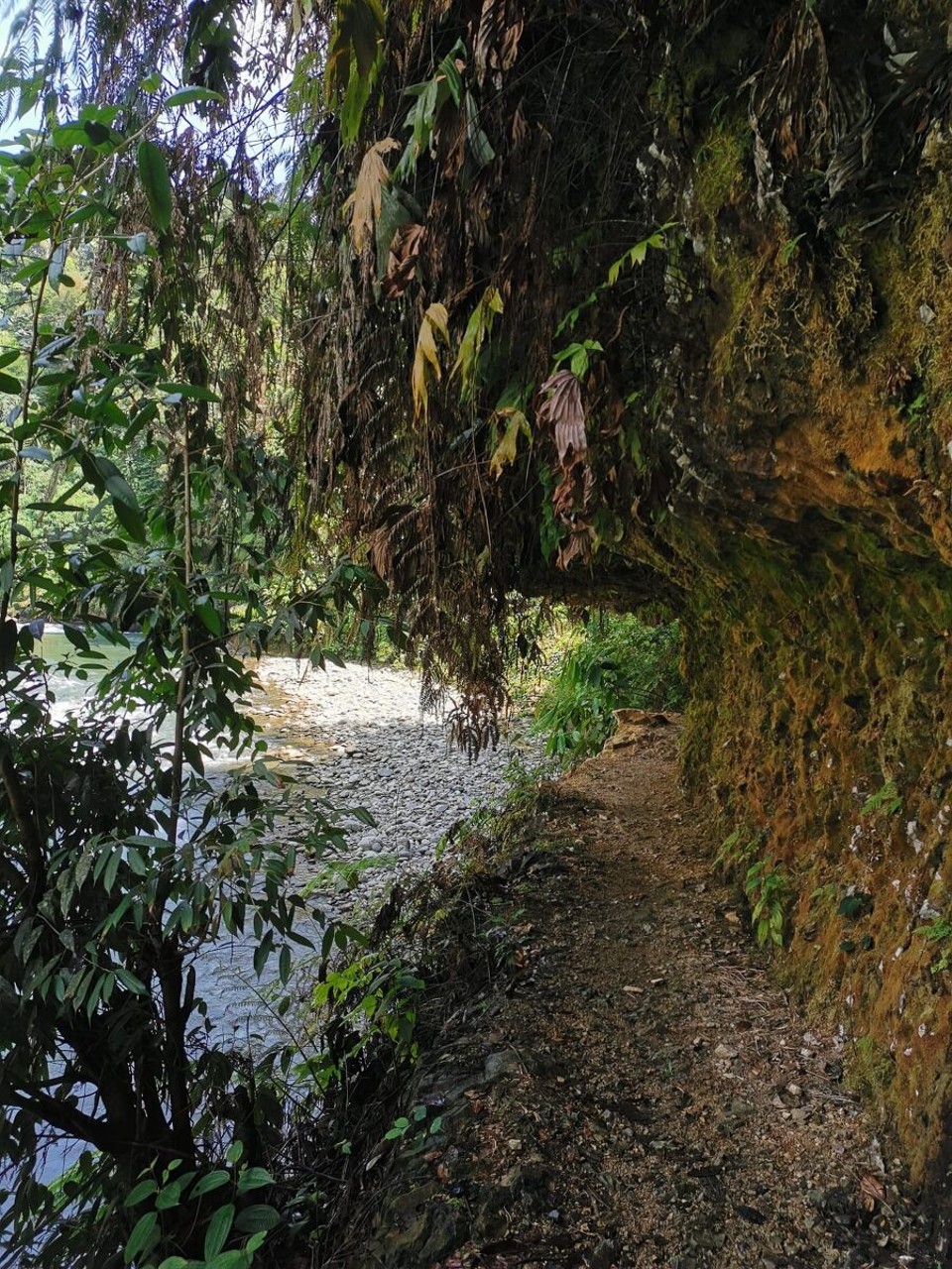 Indonesien - Kabupaten Langkat - 