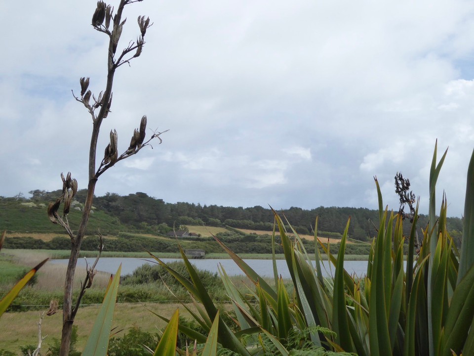 United Kingdom - Isles Of Scilly - Walking past Great Pool on our way to the gardens (another blog).
