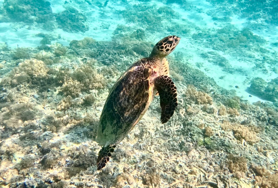 Indonesien - Kabupaten Lombok Utara - So jetzt müssen wir wieder auftauchen, wir wollen weiter.
