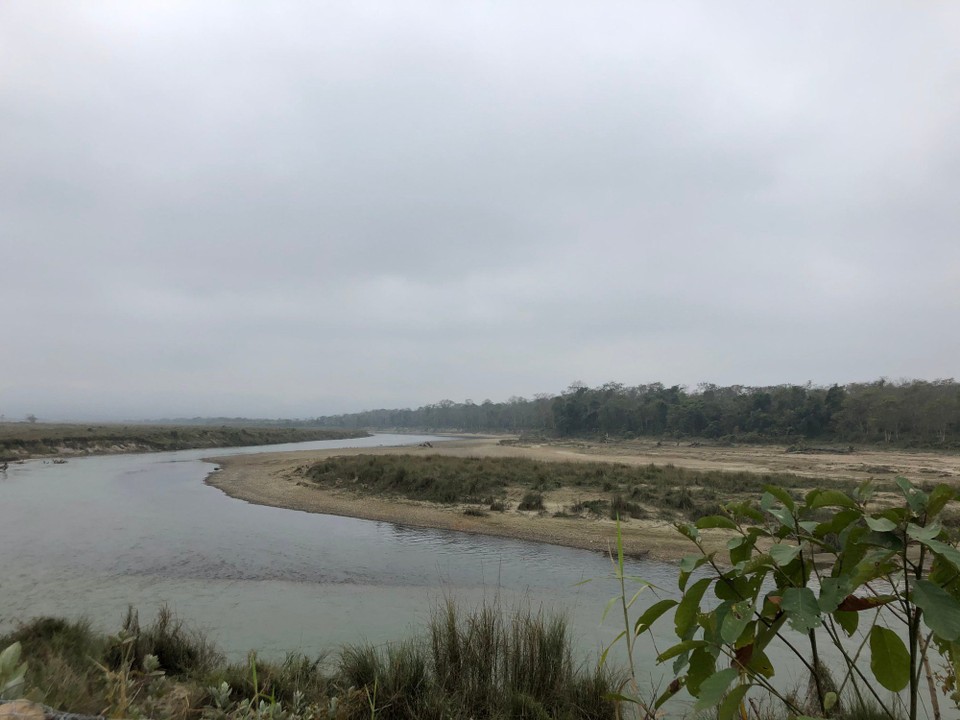 Nepal - Ratnanagar - Chitwan National Park 