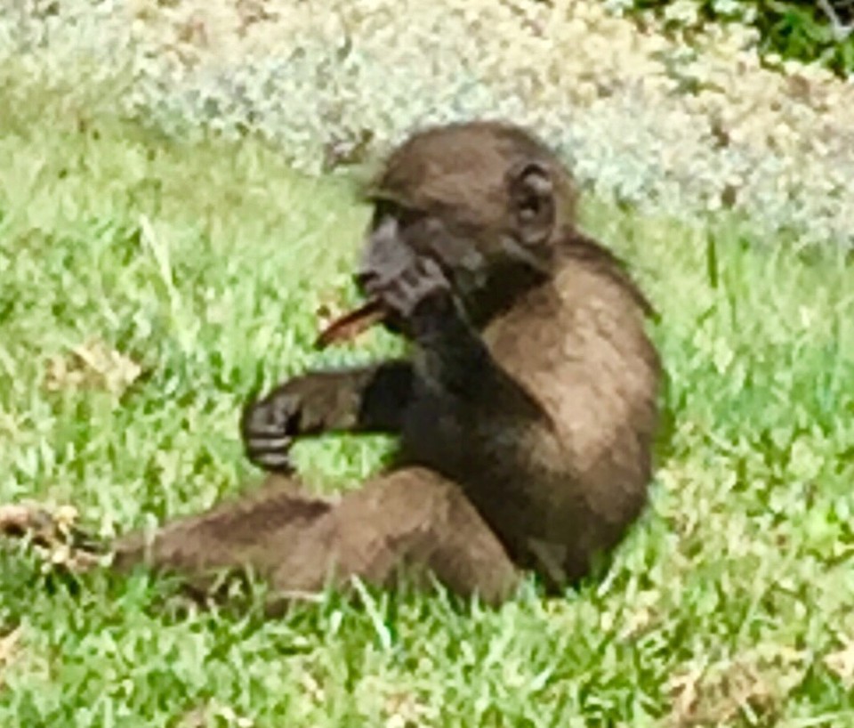 Südafrika - Plettenberg Bay - Unterwegs 
