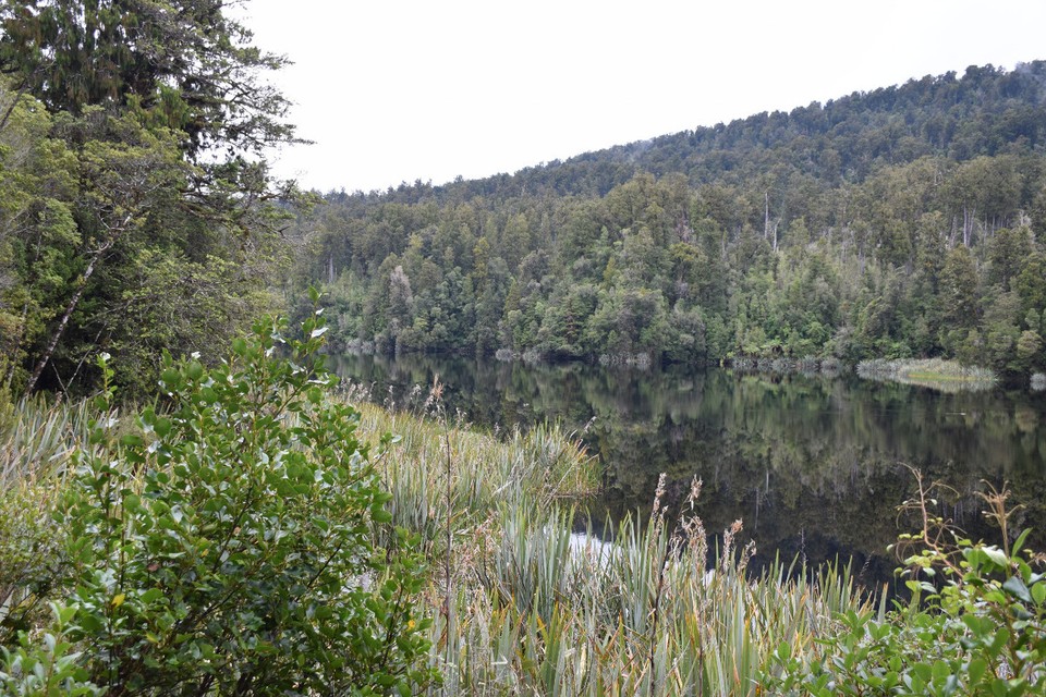 Neuseeland - Lake Matheson - 