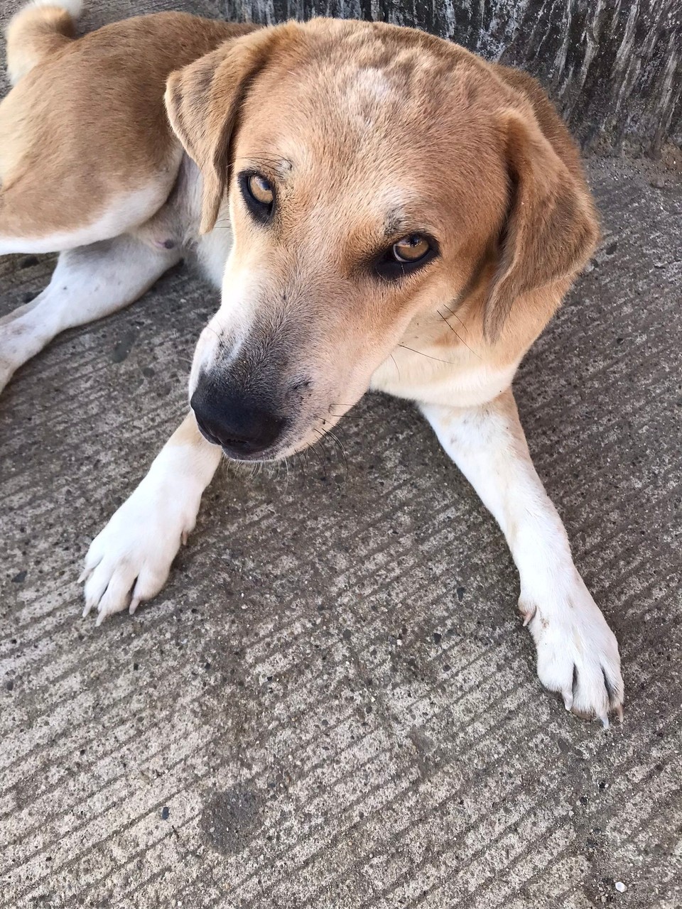 Philippines - Puerto Princesa - 