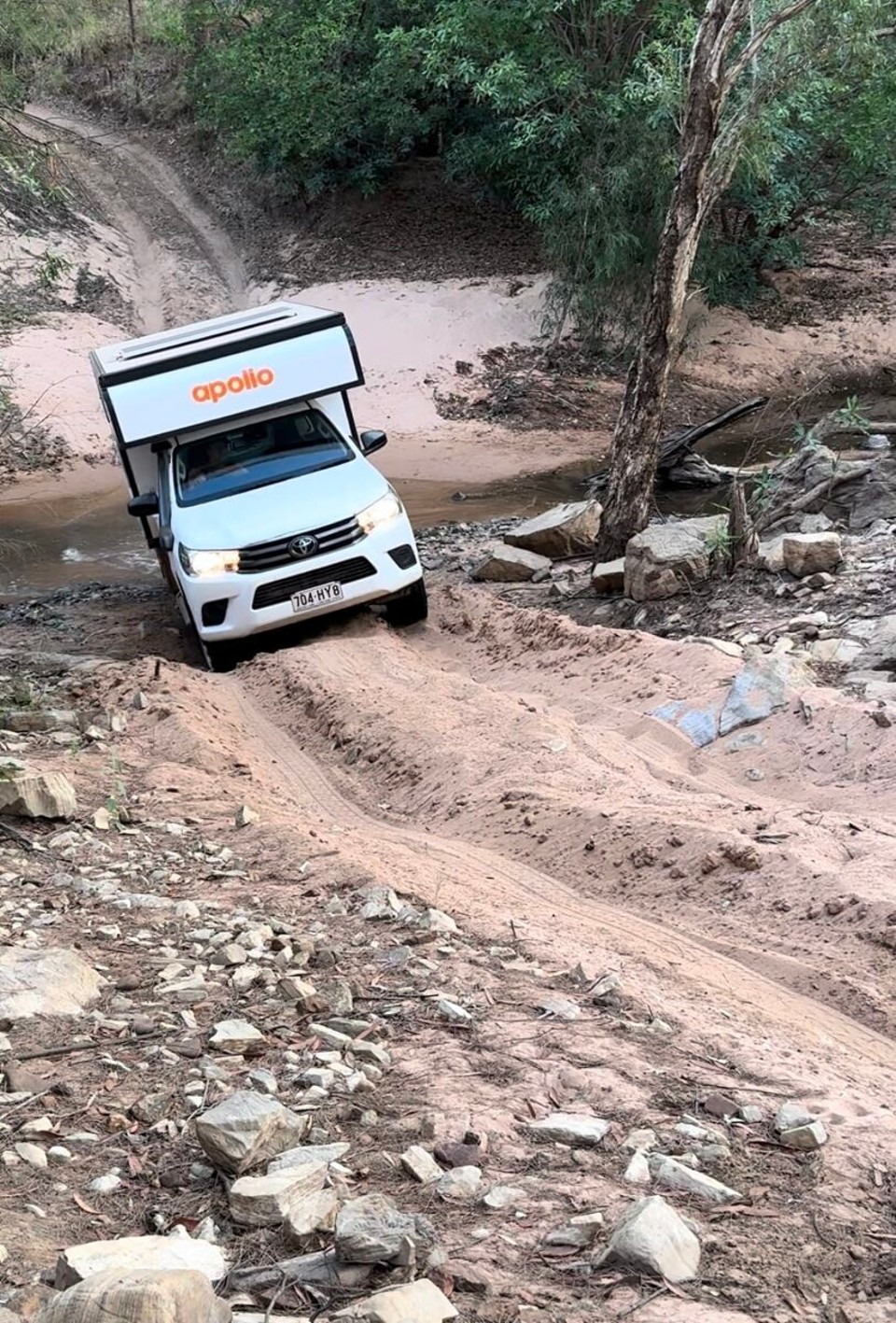 Australien - Limmen - Bizli Action khört natürli au derzua!😍